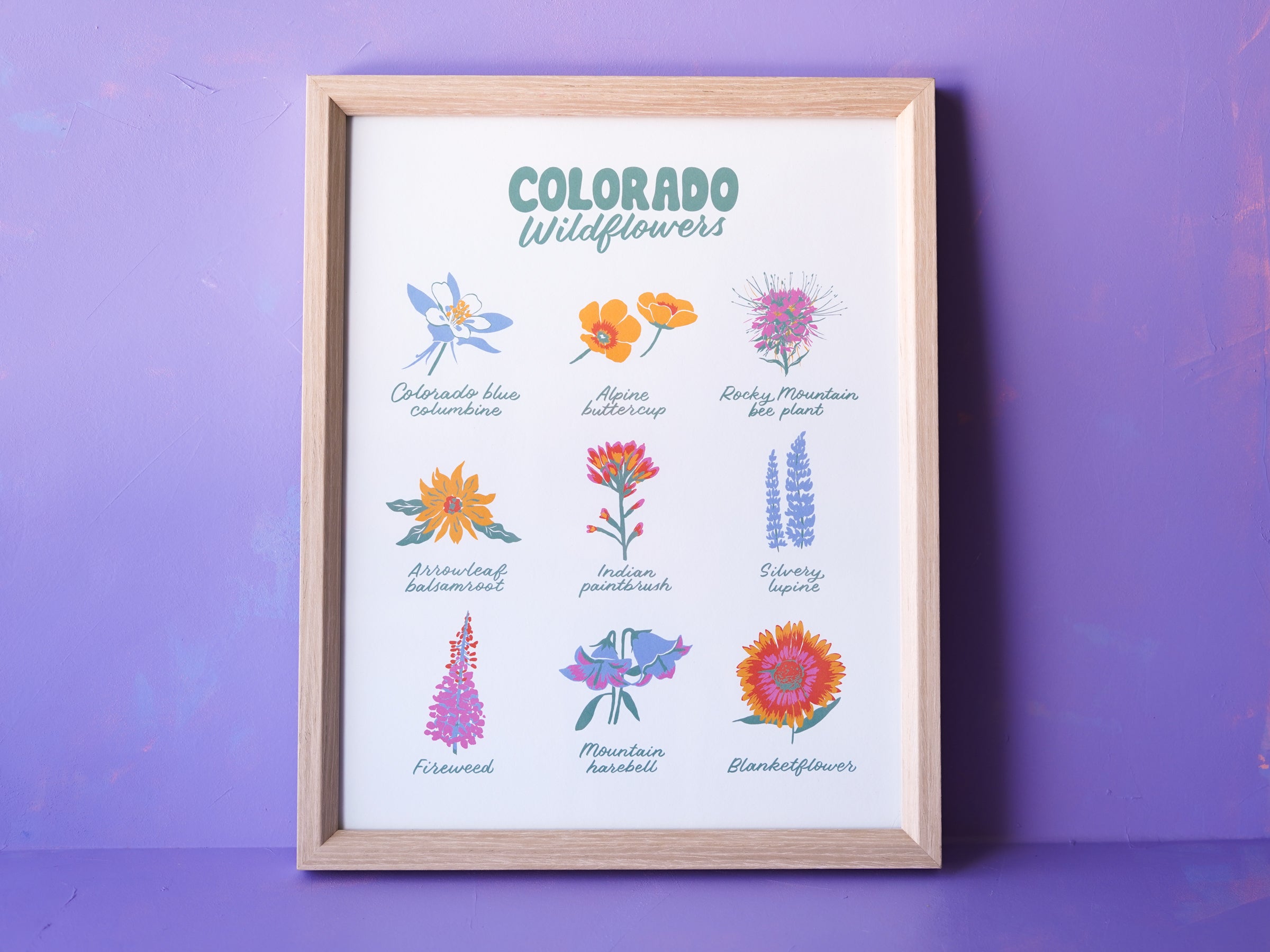 Colorado Wildflowers Print - 11x14"