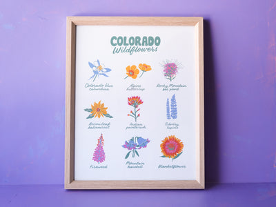 Colorado Wildflowers Print - 11x14"