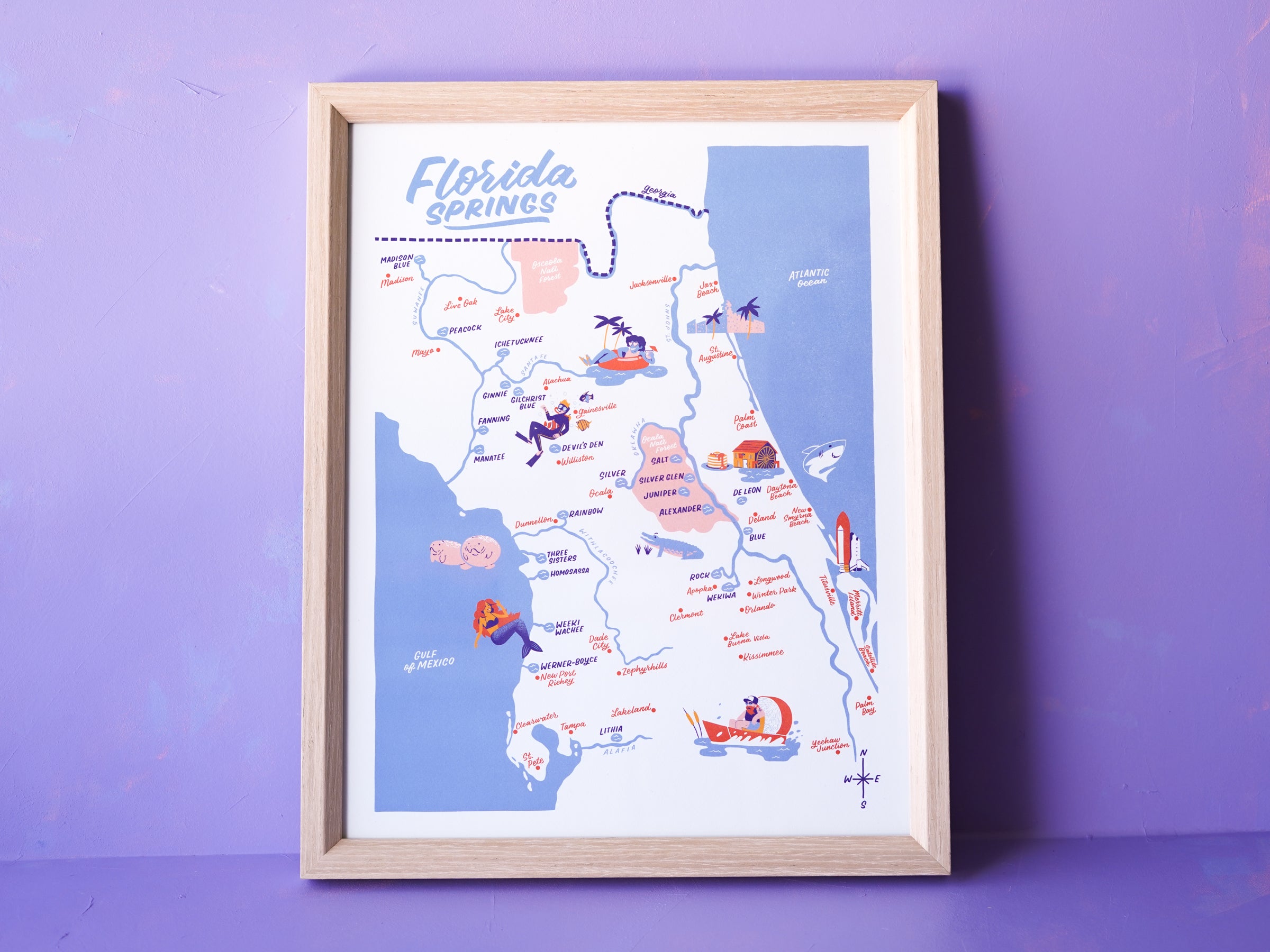Florida Springs Map - 11x14"