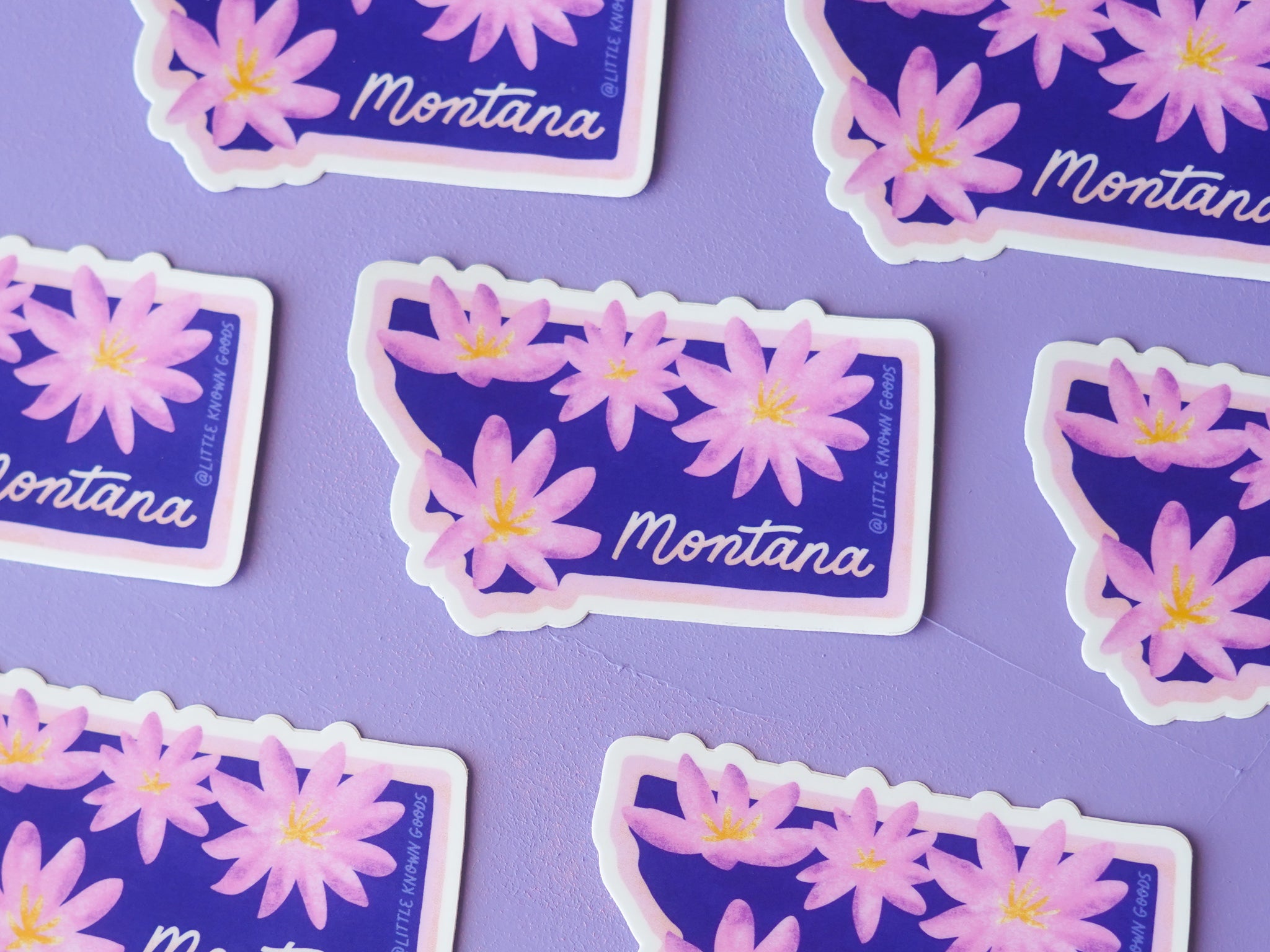 Montana State Flower Bitterroot Sticker