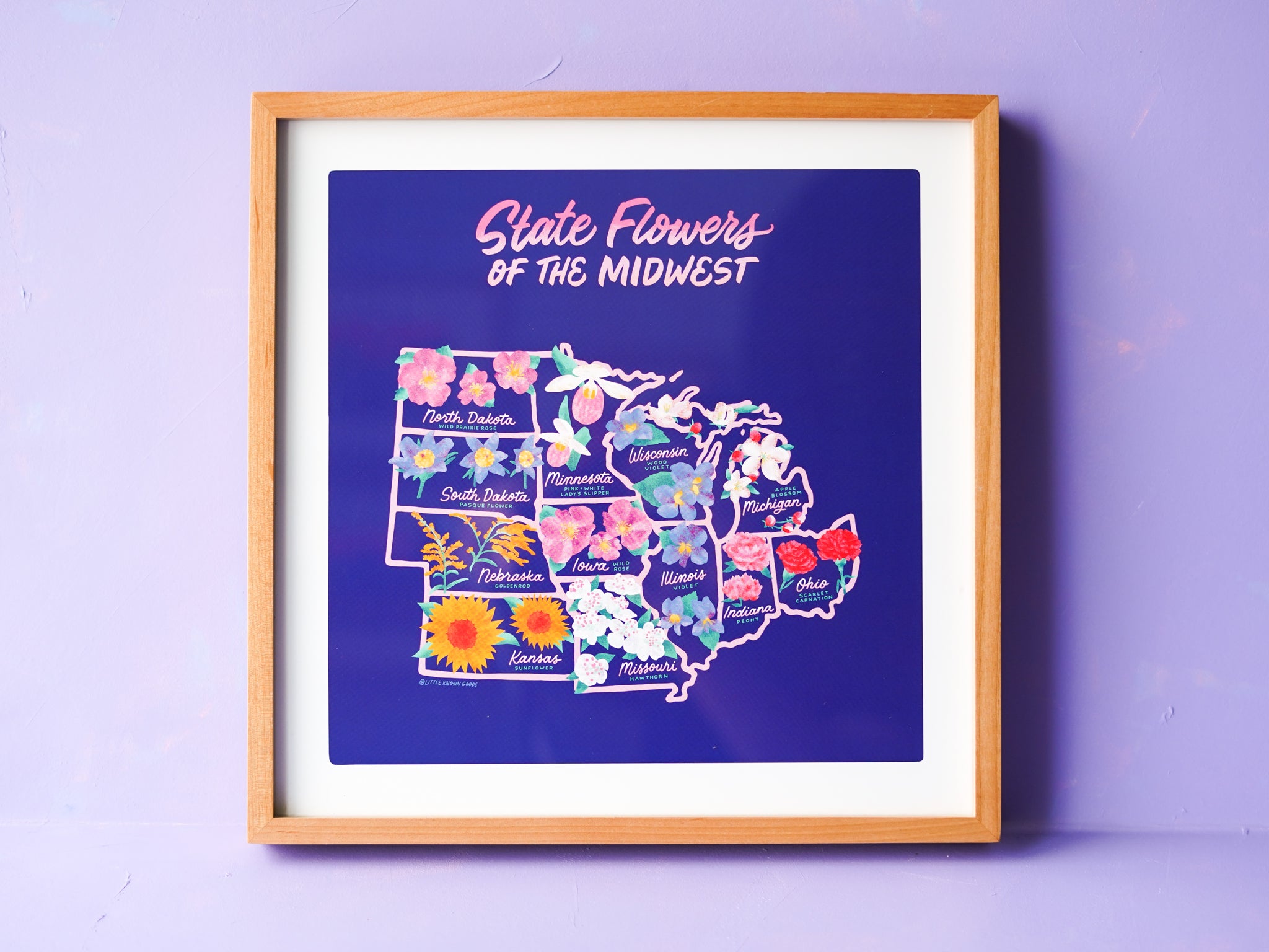 State Flowers of the Midwest map - 12x12"