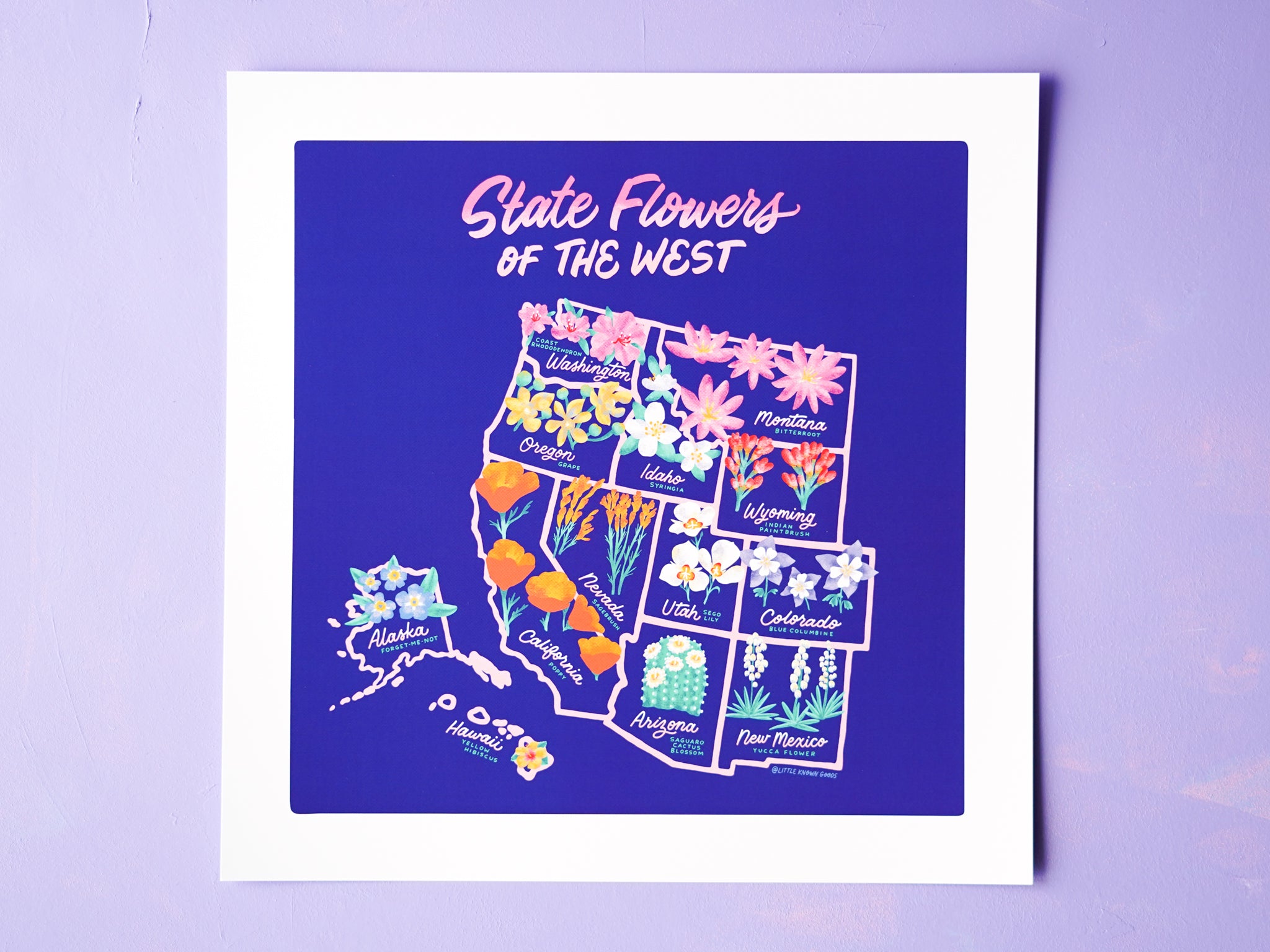 State Flowers of the West map - 12x12"