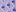 Illinois State Flower Violet Sticker