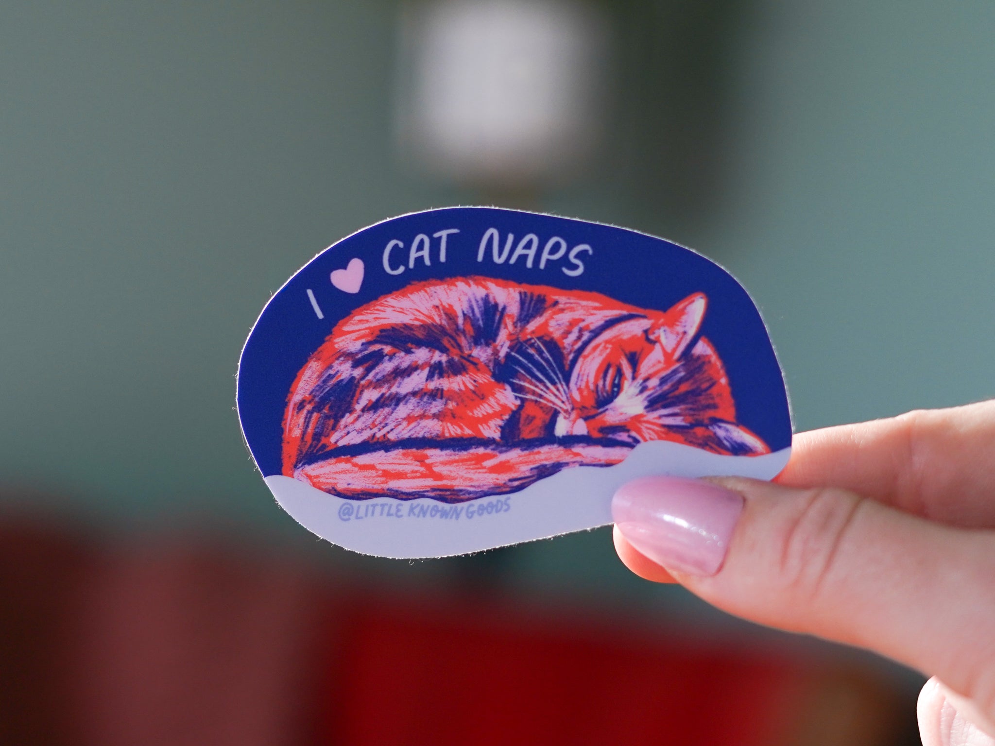 Cat Naps Cozy Sticker