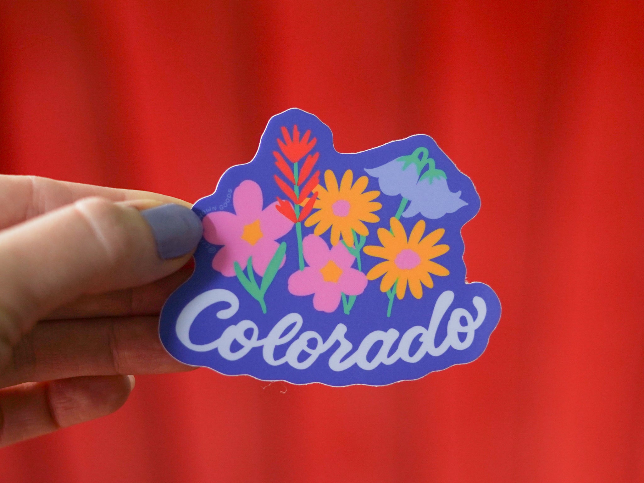 Colorful Colorado Wildflower Sticker