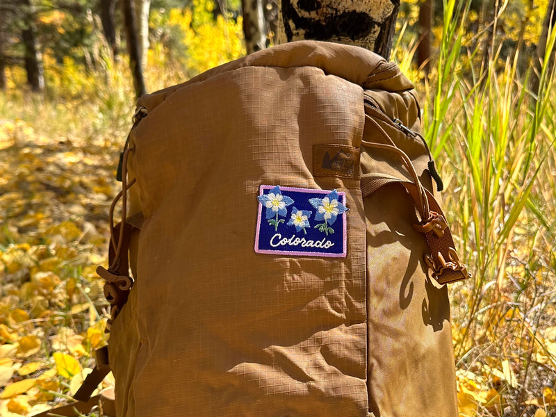 Colorado State Flower Columbine Patch