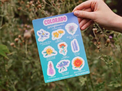 Colorado Wildflowers Sticker Sheet