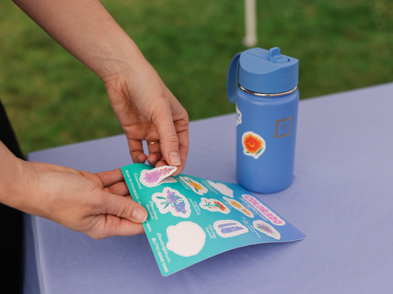 Colorado Wildflowers Sticker Sheet