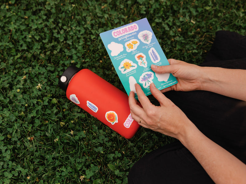 Colorado Wildflowers Sticker Sheet