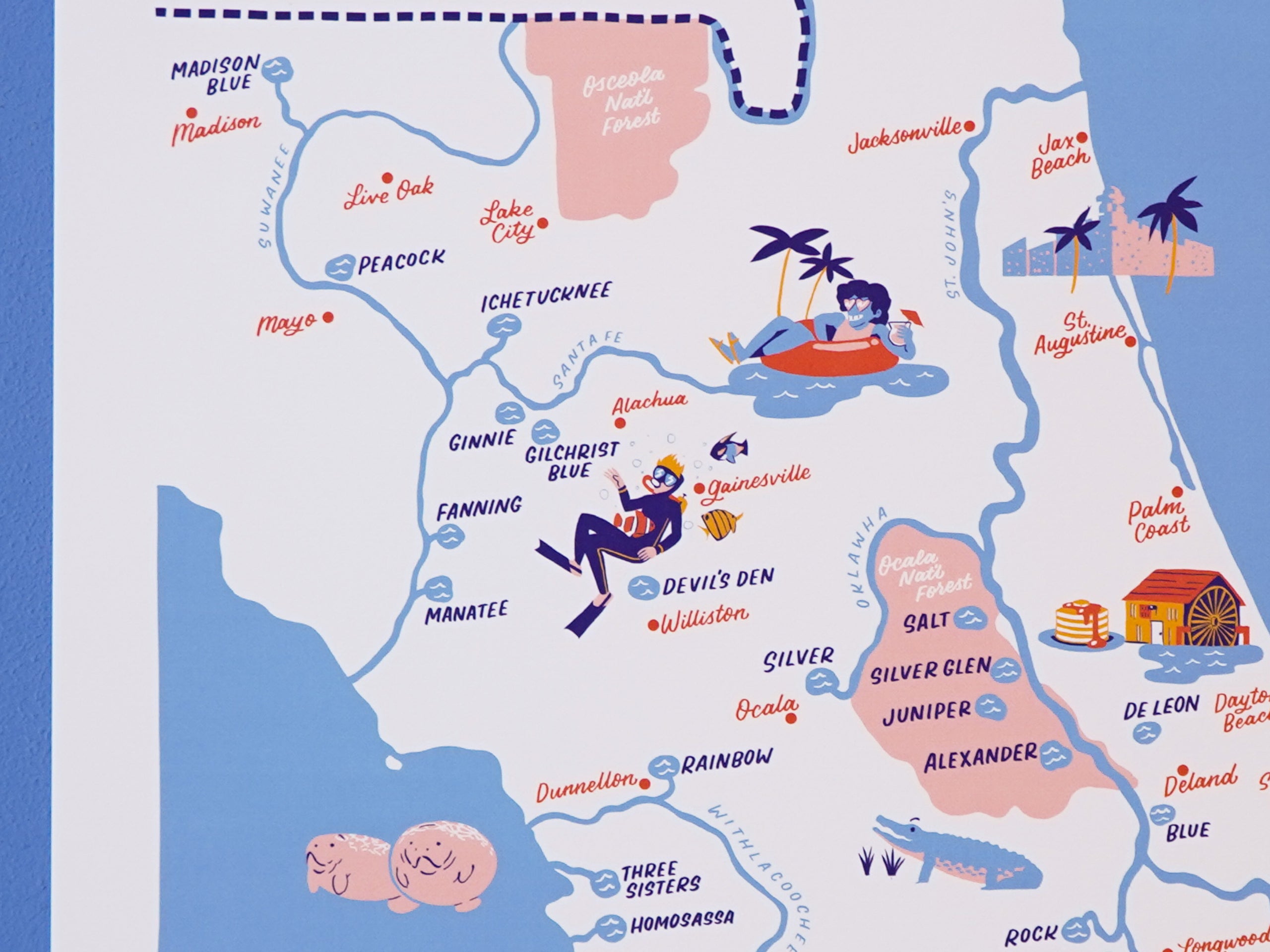Florida Springs Map - 11x14"
