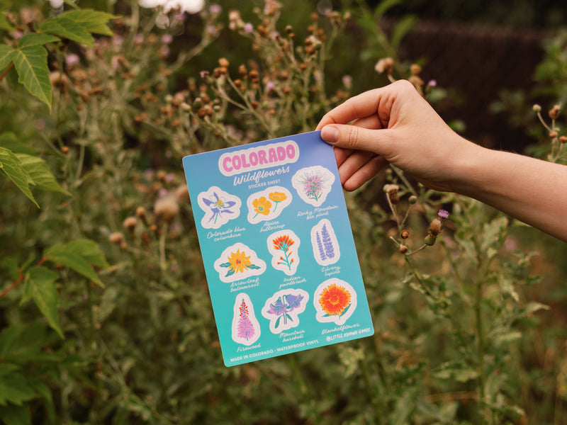 Colorado Wildflowers Sticker Sheet
