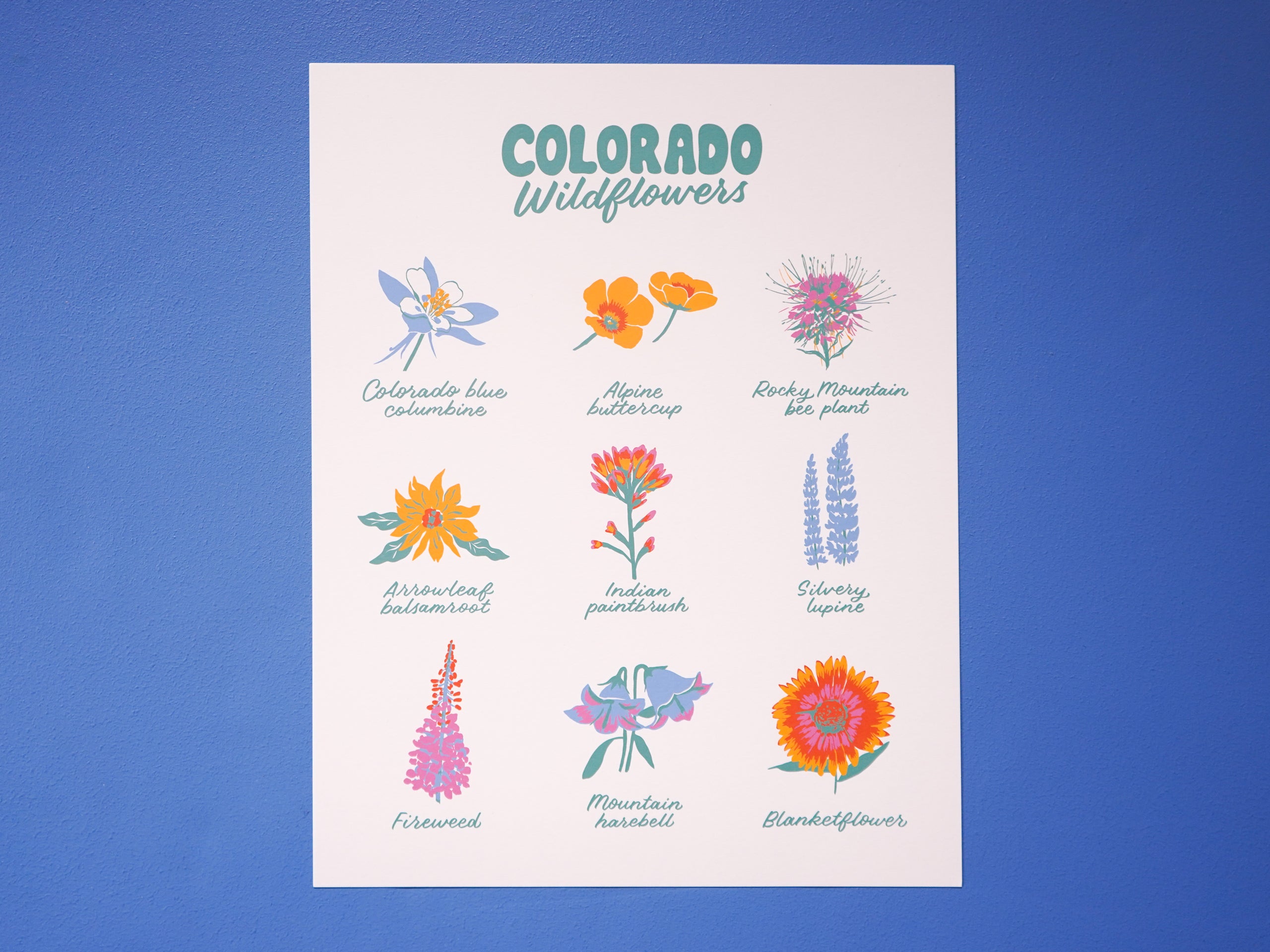 Colorado Wildflowers Print - 11x14"