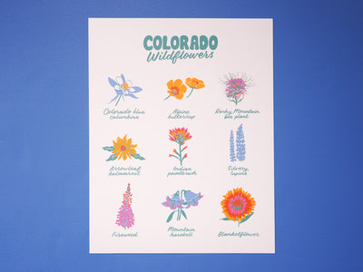 Colorado Wildflowers Print - 11x14"