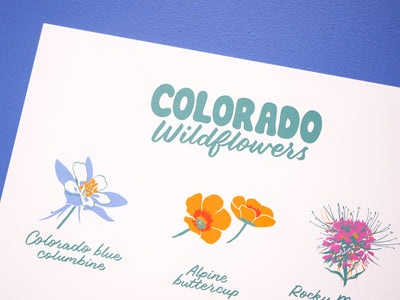 Colorado Wildflowers Print - 11x14"
