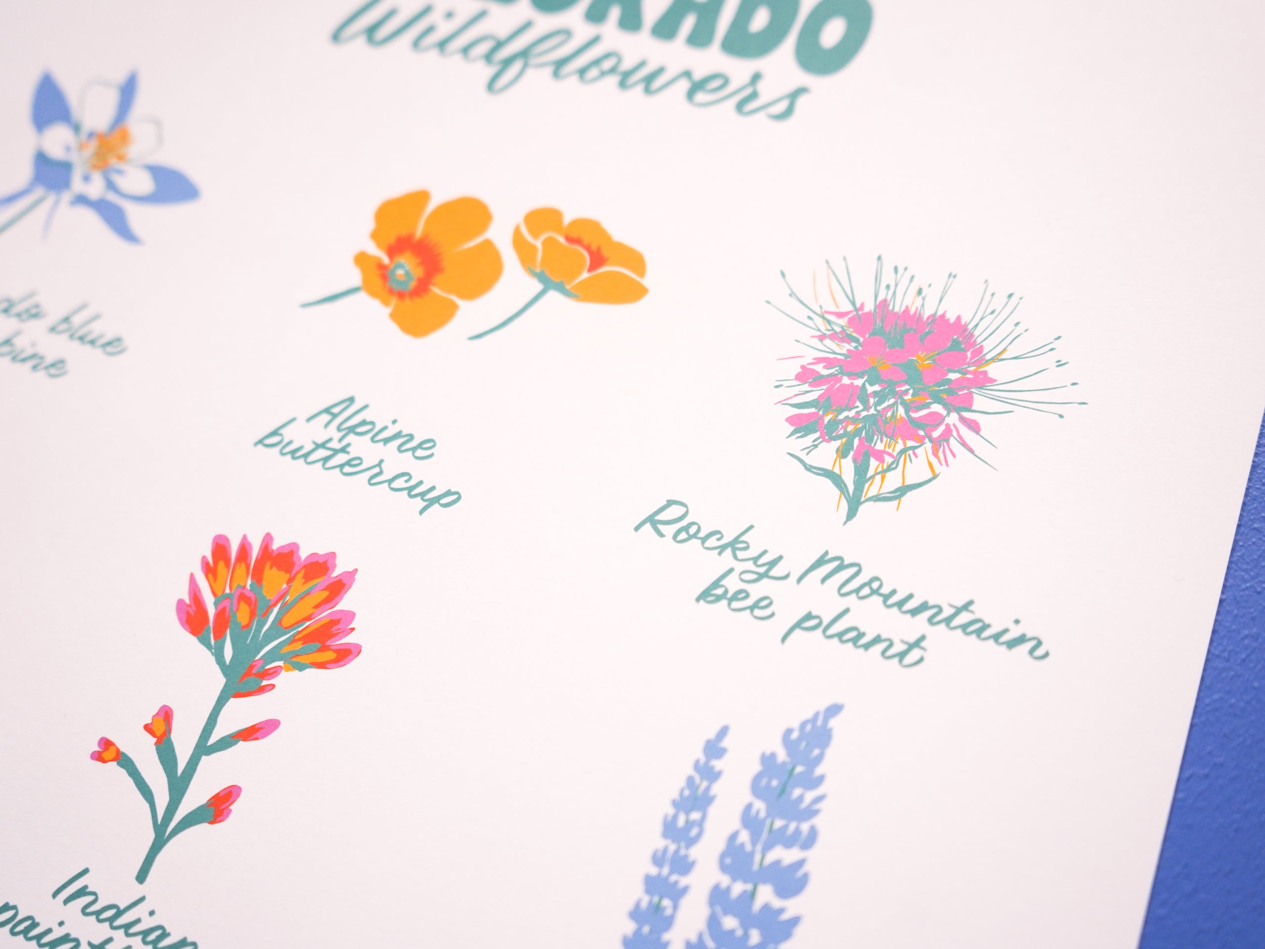 Colorado Wildflowers Print - 11x14"